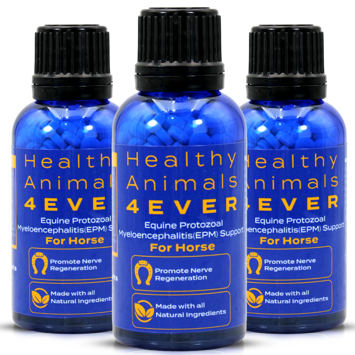 EQUINE PROTOZOAL MYELOENCEPHALITIS (EPM) SUPPORT  Triple Pack- Save 30%