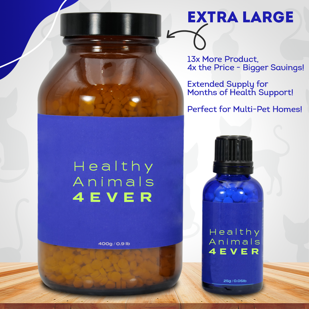 Cat Oral Health - Relieves Inflammation, Soothes Pain & Fights Gum Disease - Natural, Non-GMO, Organic, Gluten-Free & Chemical-Free - Tablets, Big Jar