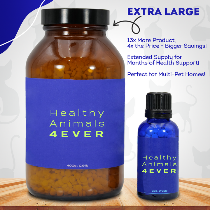 Cat Oral Health - Relieves Inflammation, Soothes Pain & Fights Gum Disease - Natural, Non-GMO, Organic, Gluten-Free & Chemical-Free - Tablets, Big Jar