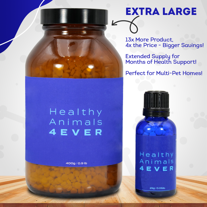 Calming Tablets for Stressed and Aggressive Dogs - Reduce Dog Aggression and Frustration & Promote Relaxation - All-Natural, Homeopathic Remedy - Tablets, Big Jar