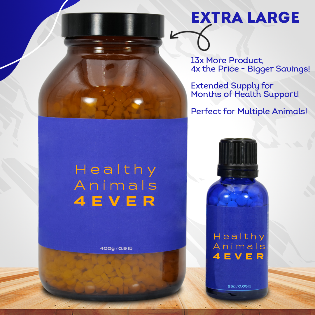 Horse Digestive Support for Cushing’s Disease - Preventative Care - Highly Effective, Natural Homeopathic Supplement - Tablets, Big Jar