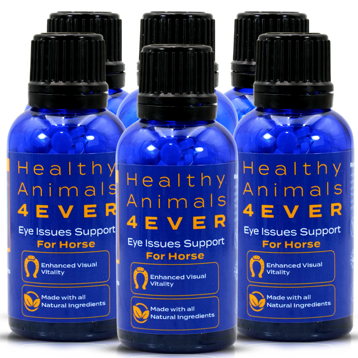 HORSE EYE HEALTH SUPPORT Six Pack- Save 50%