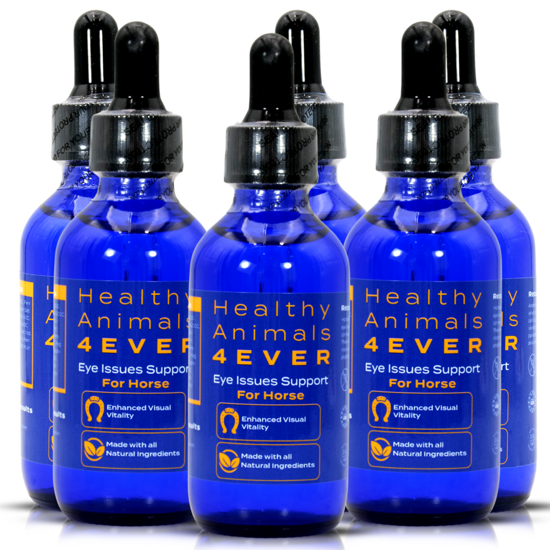 HORSE EYE ISSUES SUPPORT FOR HORSE (Liquid) Six Pack- Save 50%