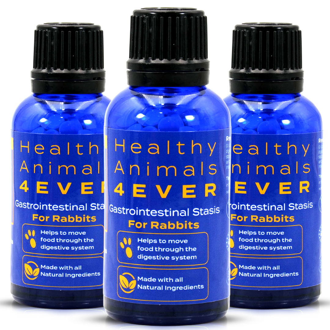 Gastrointestinal Stasis Relief for Rabbits Triple Pack- Save 30%