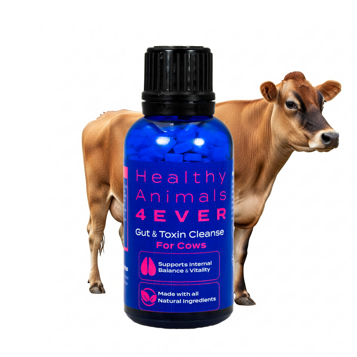 Cow Parasite Removal Support - Gut & Toxin Cleanse