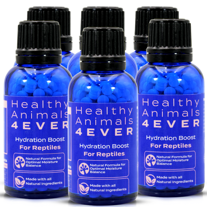 Hydration Boost for Reptiles: Natural Formula for Optimal Moisture Balance Six Pack- Save 50%