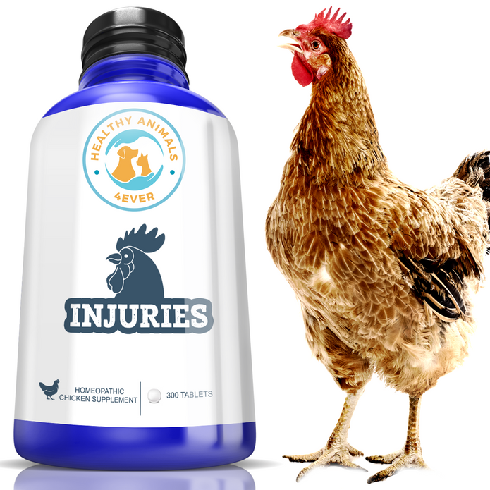 HEALTHYANIMALS4EVER ALL-NATURAL CHICKEN INJURY SUPPORT