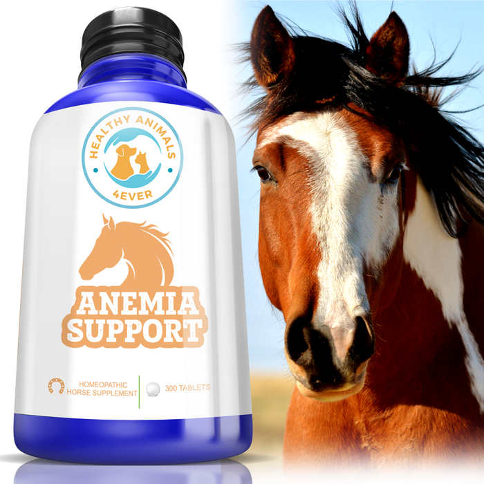 HORSE ANEMIA SUPPORT Six Pack- Save 50%