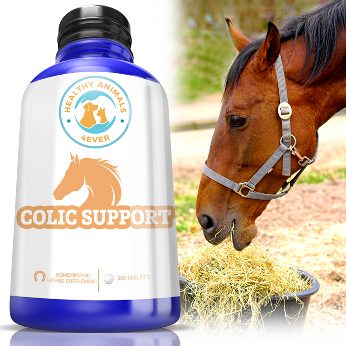 HORSE COLIC SUPPORT  Six Pack- Save 50%