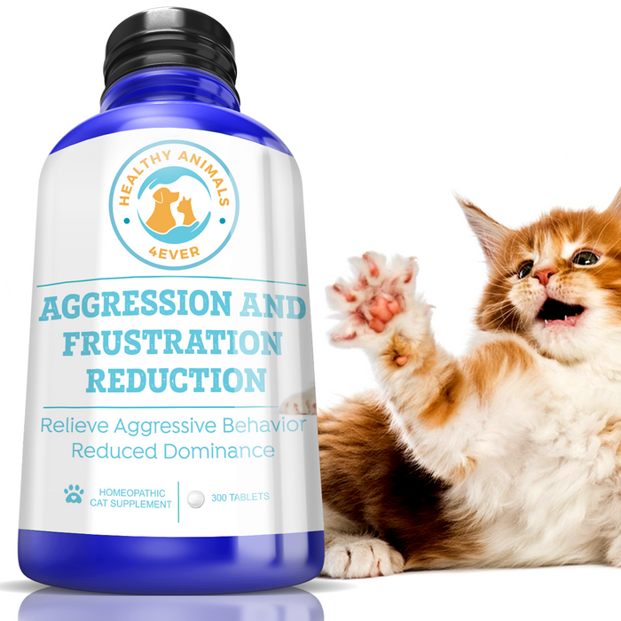 Aggression and Frustration Reduction - Cats
