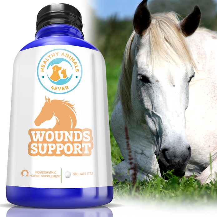 HORSE WOUNDS SUPPORT