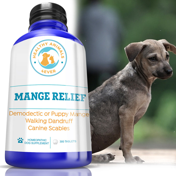 Assisi Mange Care Homeopathic Mange Treatment Kit For Dogs, Cats, Ferrets, Horses (Sarcoptic & Demodectic) Sentry Cat Squeeze-On Treatments Assisi Mange Care Homeopathic Mange Treatment Kit For Dogs, Cats, Ferrets, Horses (Sarcoptic & Demodectic) Sentry Cat Squeeze-On Treatments