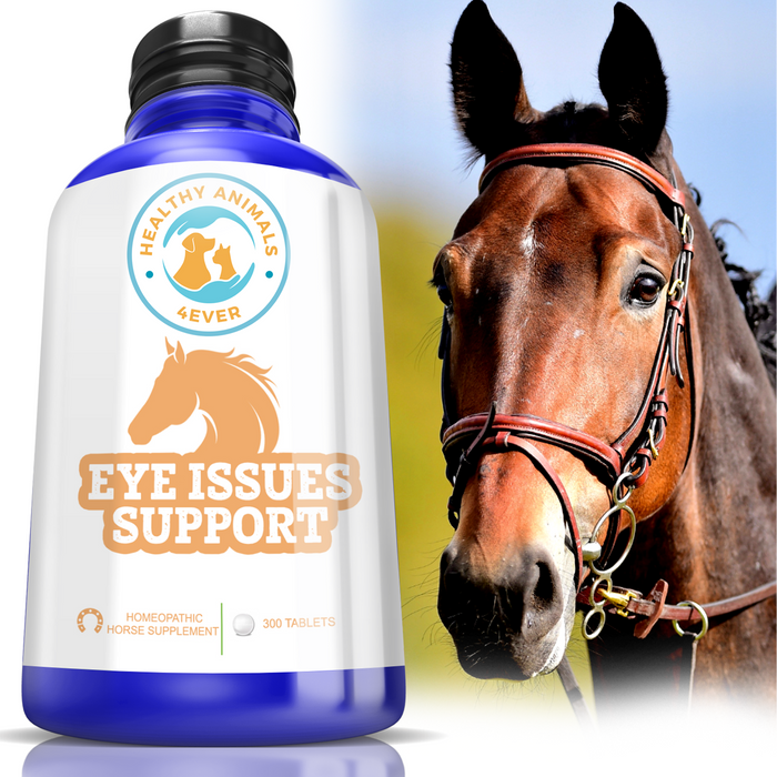 HORSE EYE HEALTH SUPPORT Six Pack- Save 50%