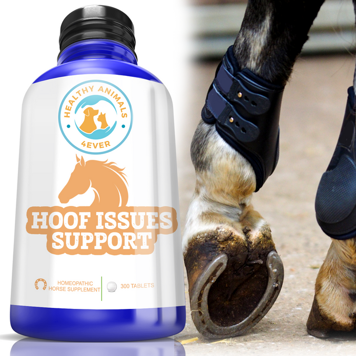 HORSE HOOF SUPPORT