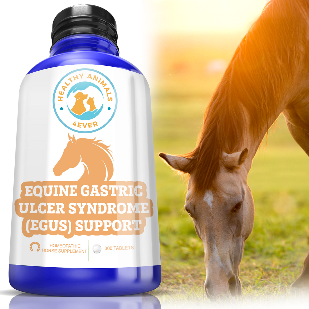 HORSE EQUINE GASTRIC ULCER SYNDROME SUPPORT — Healthy Animals 4Ever