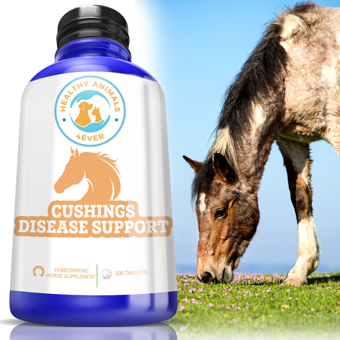 HORSE CUSHINGS DISEASE SUPPORT  Six Pack- Save 50%