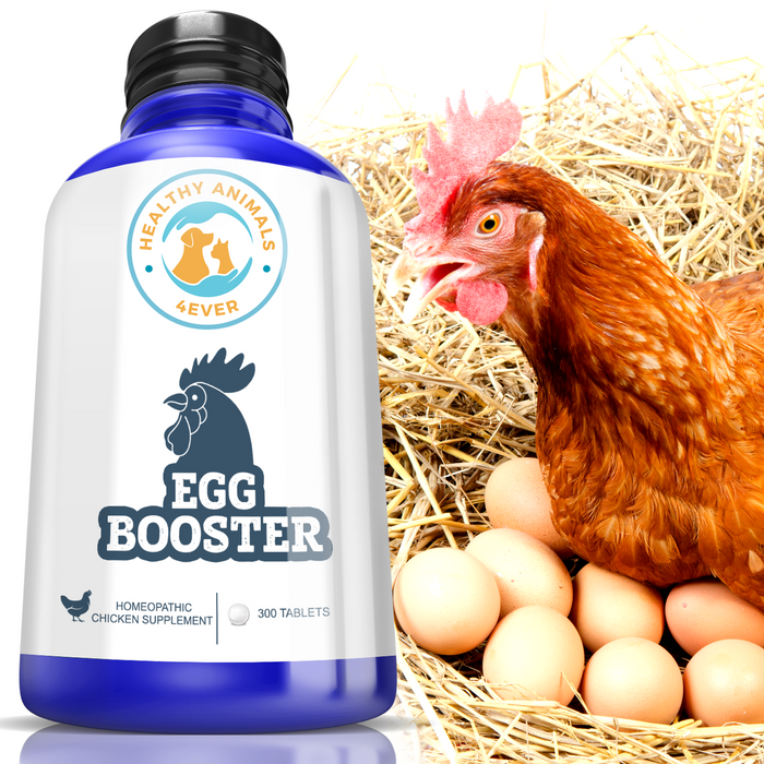 HEALTHYANIMALS4EVER ALL-NATURAL CHICKEN EGG BOOSTER