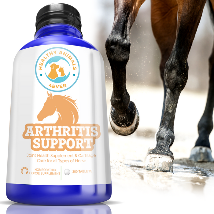 HORSE ARTHRITIS PRODUCT Triple Pack- Save 30%