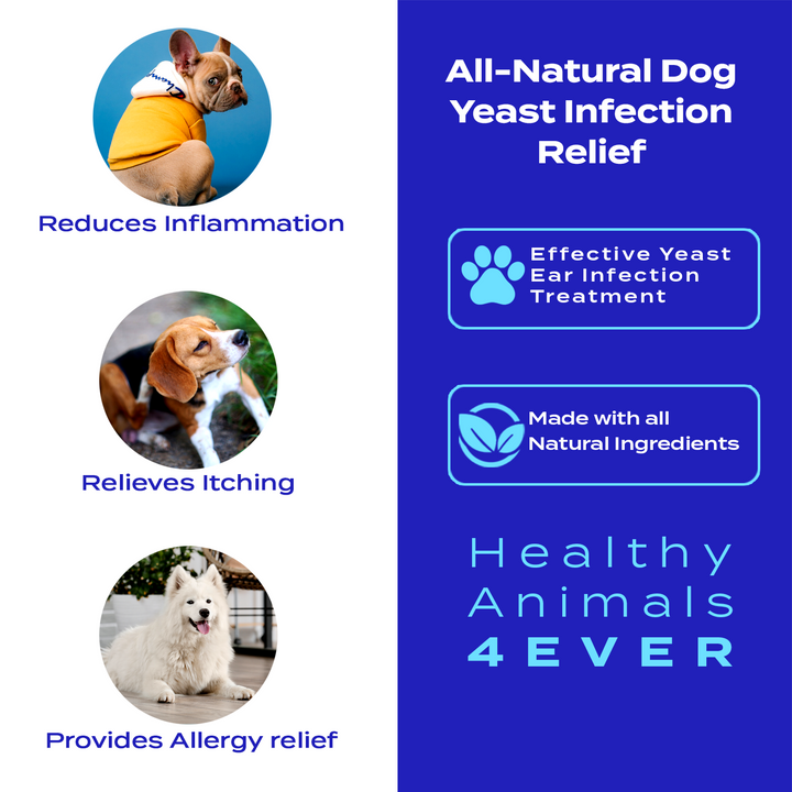 Yeast Infection Relief for Dogs Six Pack- Save 50%