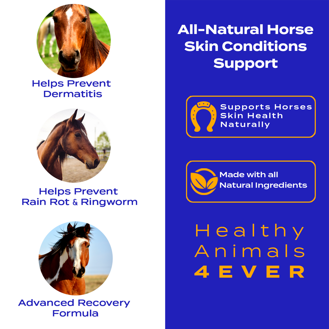 HORSE SKIN CONDITIONS SUPPORT (Liquid)Six Pack- Save 50%