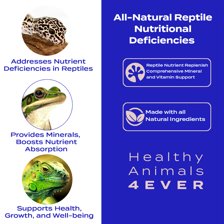 Reptile Nutrient Replenish: Comprehensive Mineral and Vitamin Support Six Pack- Save 50%