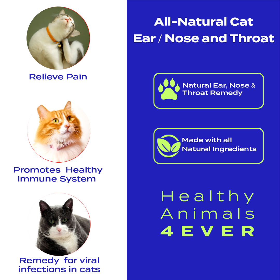 Ear Nose and Throat - Cats