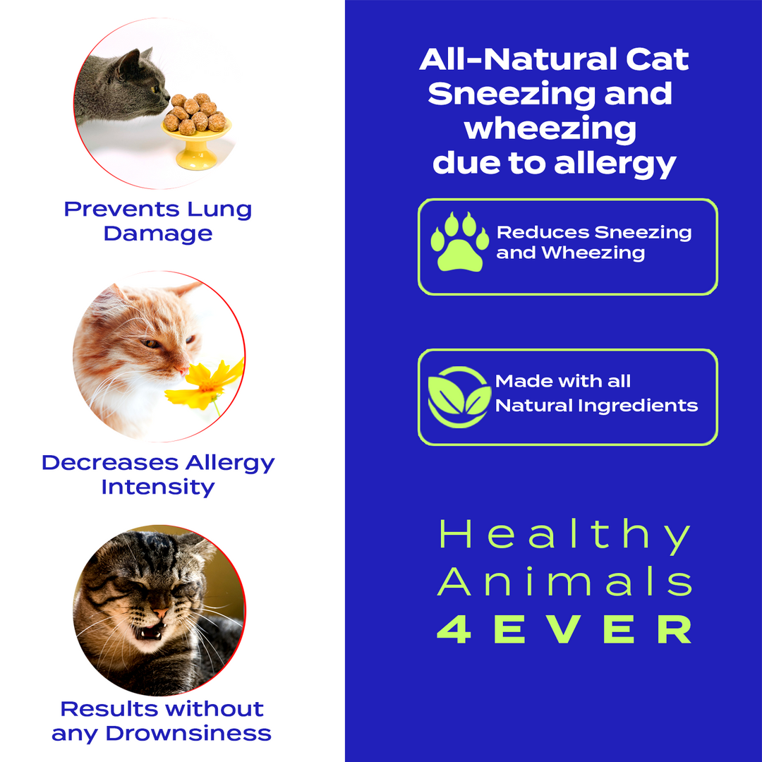 Sneezing and Wheezing Due to Allergy Formula for Cats, 300 Tablets, 30-Day Supply