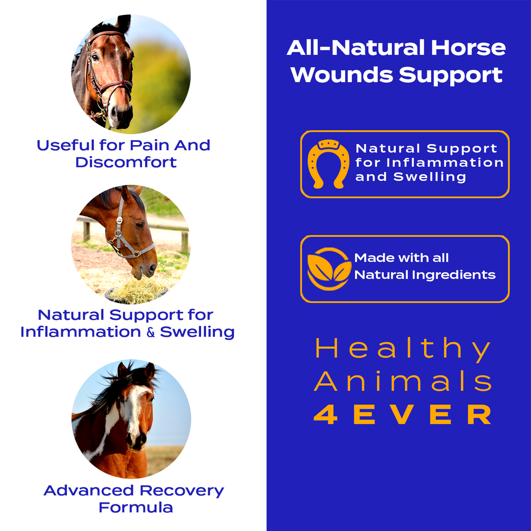 HORSE WOUNDS SUPPORT(Liquid)Triple Pack- Save 30%