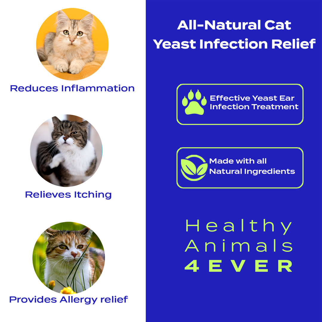 Yeast Infection Relief for Cats- Triple Pack- Save 30%