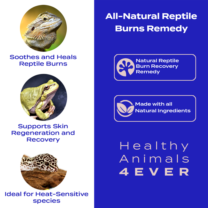 HeatShield: Natural Reptile Burn Recovery Remedy Six Pack- Save 50%