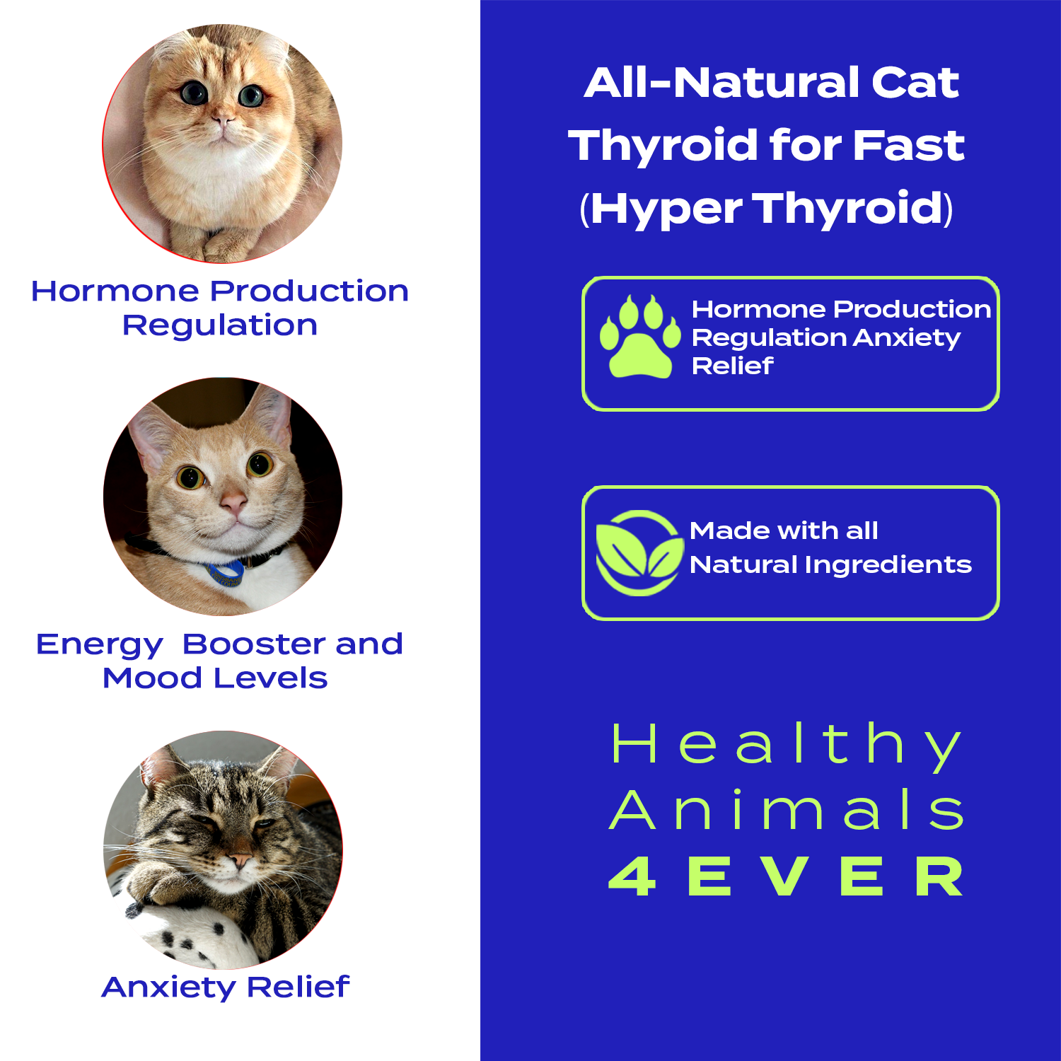 Natural Hyperthyroidism Support Formula for Cats