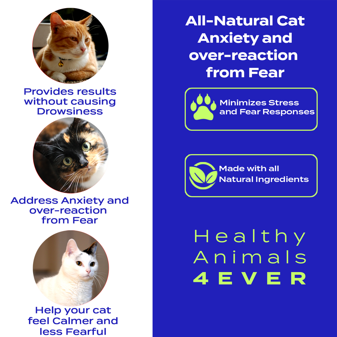 Anxiety and Over-Reaction from Fear Formula for Cats Triple Pack- Save 30%