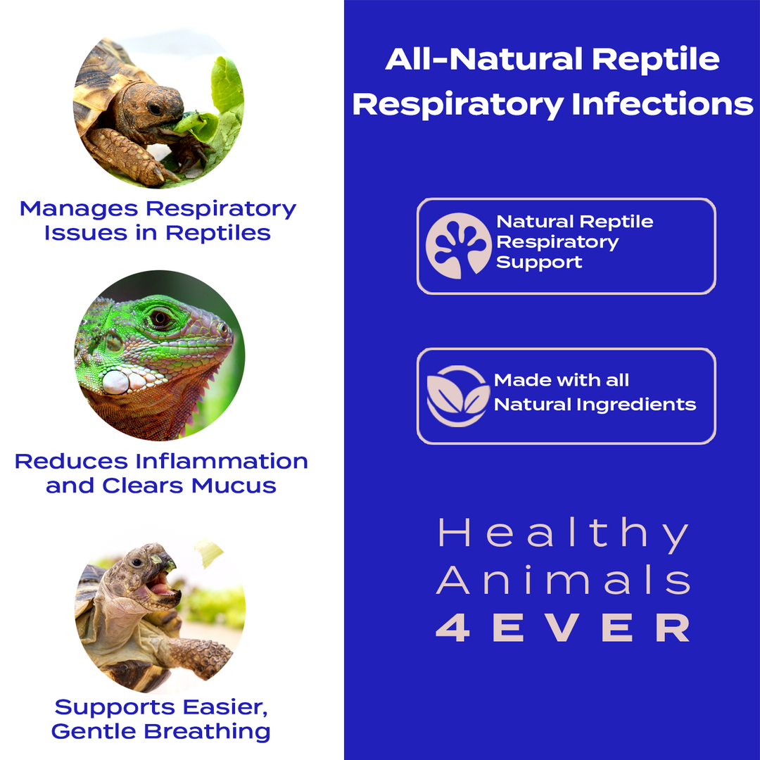 Natural Reptile Respiratory Support Triple Pack- Save 30%