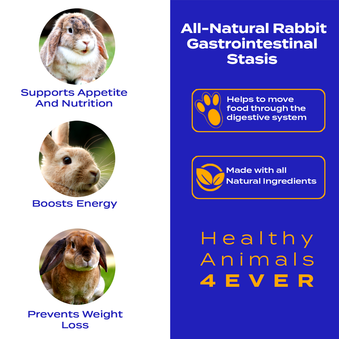 Gastrointestinal Stasis Relief for Rabbits Triple Pack- Save 30%