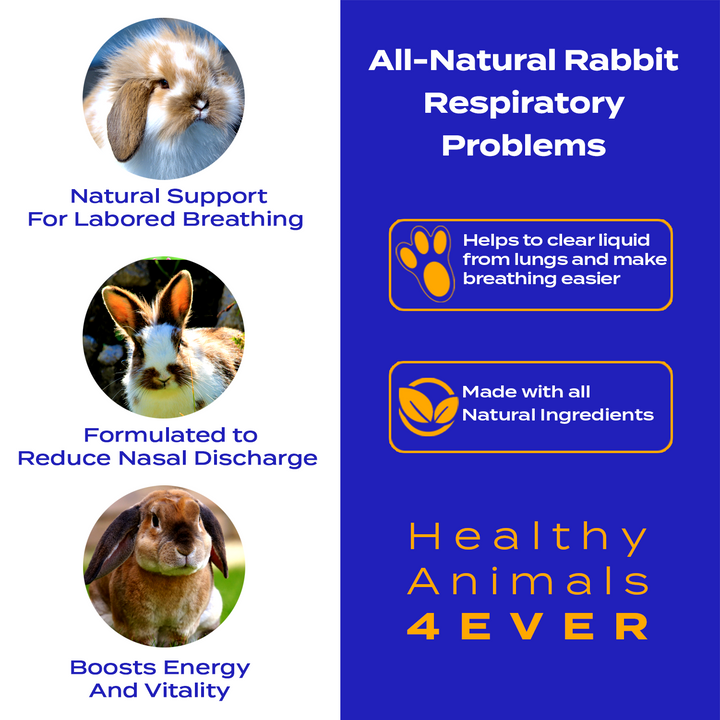 Respiratory Infection Remedy for Rabbits  Six Pack- Save 50%