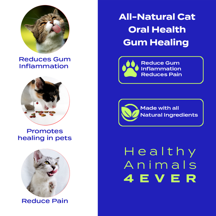 Oral Health Gum Healing Formula for Cats, 300 Tablets, 30-Day Supply