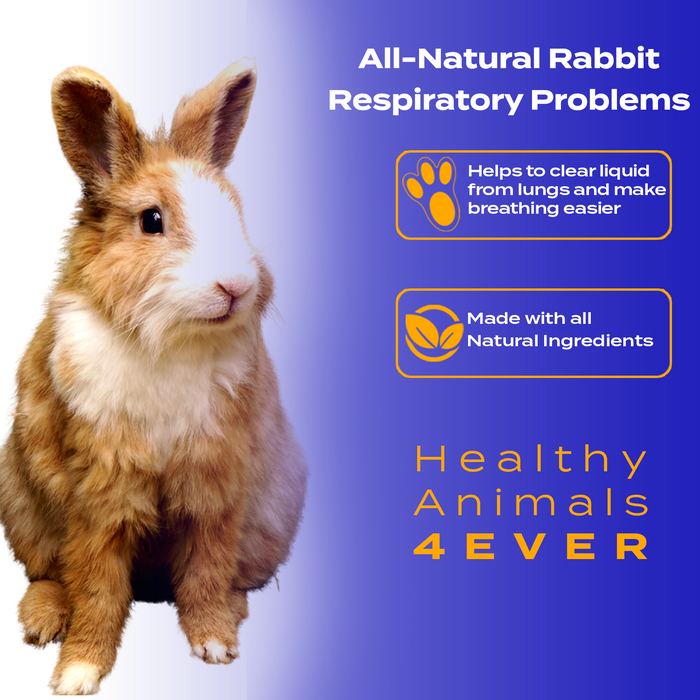 Respiratory Infection Remedy for Rabbits