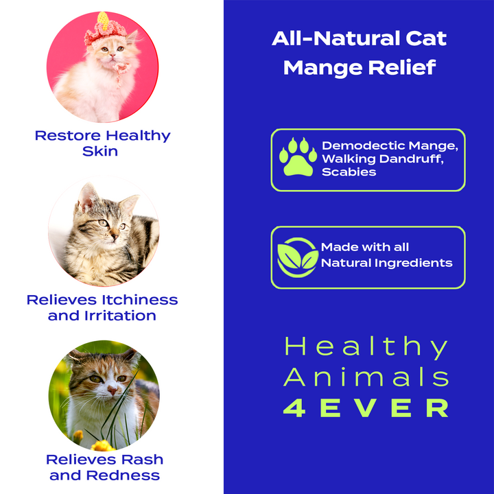 Mange Remedy for Cats - Natural Support for Itchiness, Scabs, & Hair Loss Caused by Mites