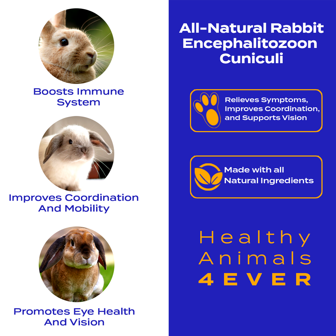 E. cuniculi (Encephalitozoon cuniculi) Remedy for Rabbits Six Pack- Save 50%