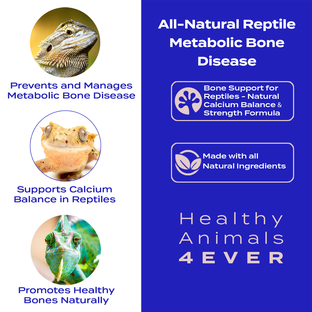 Bone Support for Reptiles - Natural Calcium Balance & Strength Formula Triple Pack- Save 30%