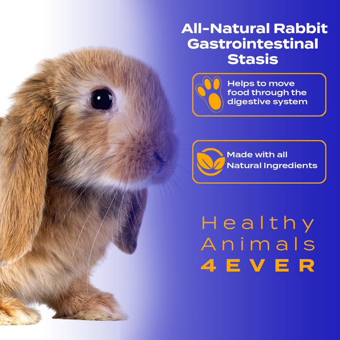 Gastrointestinal Stasis Relief for Rabbits