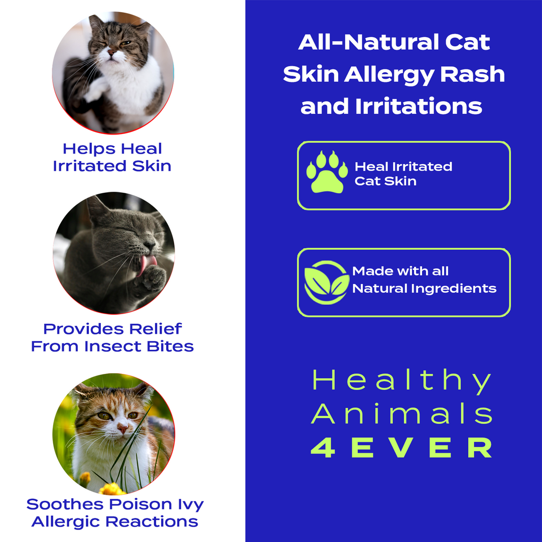 Skin Allergy Rash and Irritations - Cats