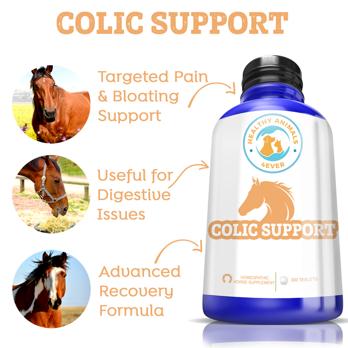 HORSE COLIC SUPPORT  Six Pack- Save 50%