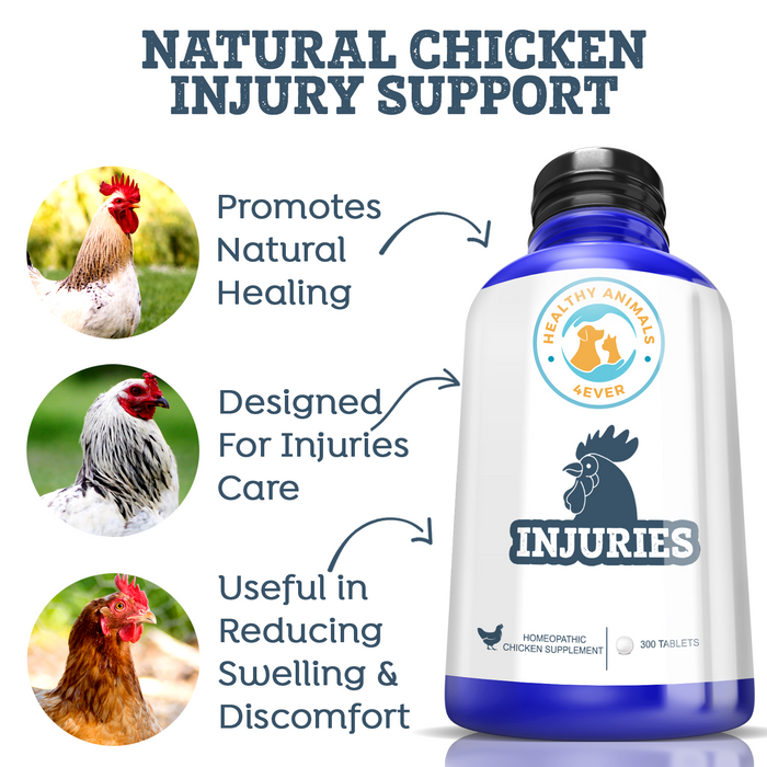 HEALTHYANIMALS4EVER ALL-NATURAL CHICKEN INJURY SUPPORT Triple Pack- Save 30%