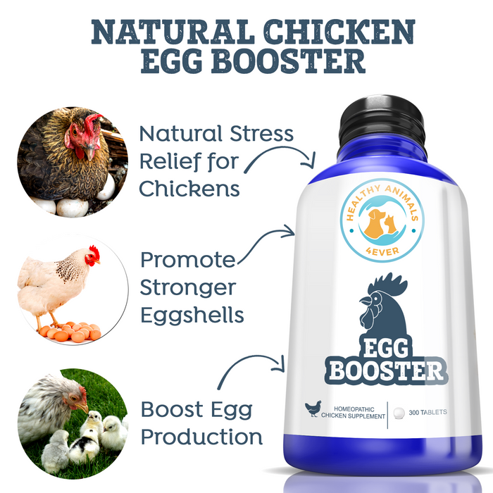 HEALTHYANIMALS4EVER ALL-NATURAL CHICKEN EGG BOOSTER