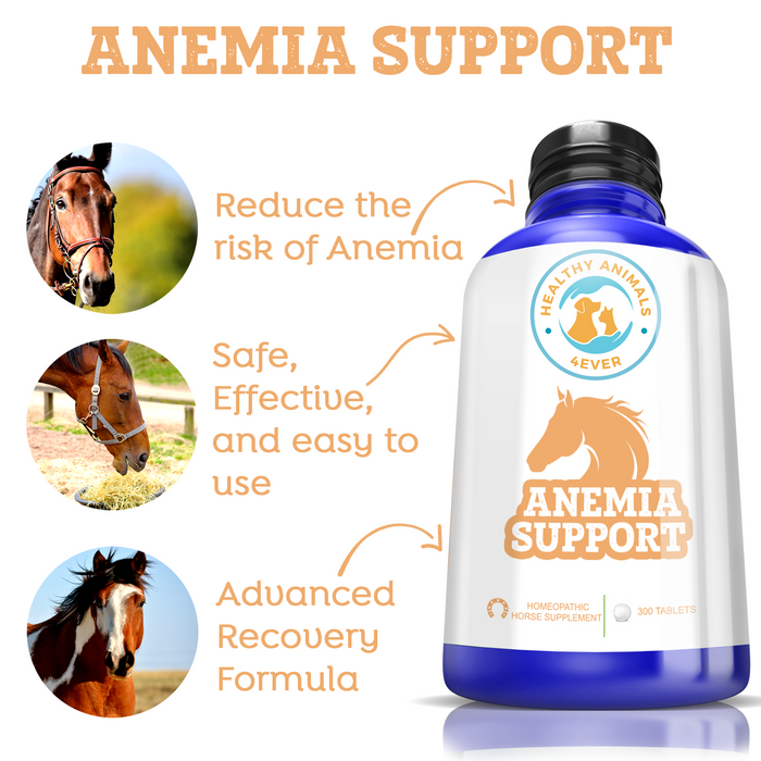 HORSE ANEMIA SUPPORT Triple Pack- Save 30%