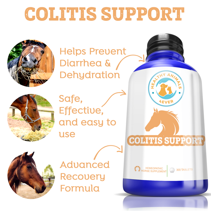 HORSE COLITIS SUPPORT Triple Pack- Save 30%