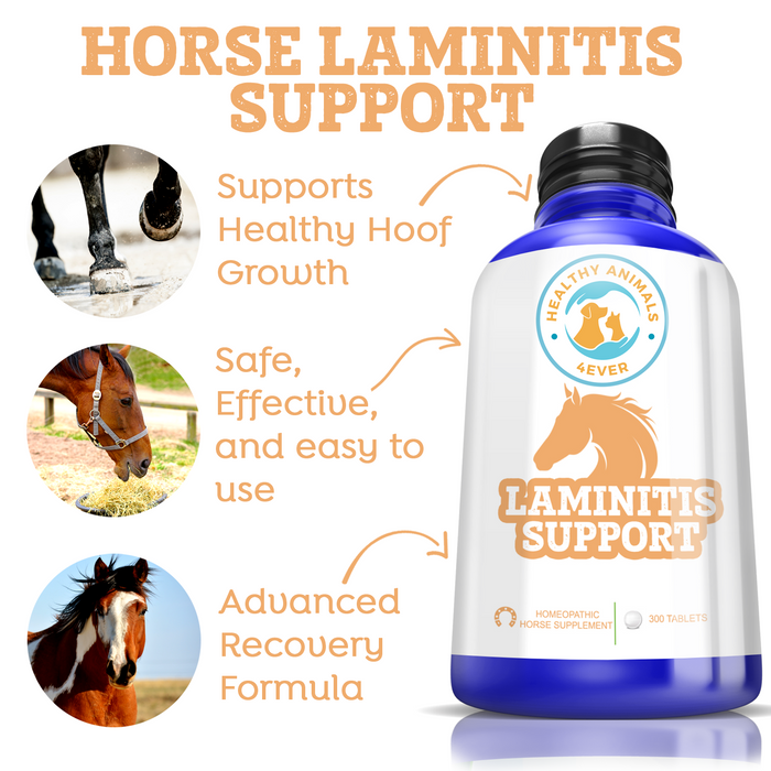 HORSE LAMINITIS SUPPORT Six Pack- Save 50%