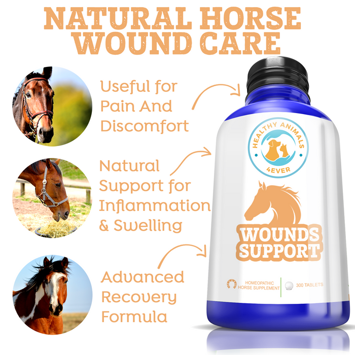 HORSE WOUNDS SUPPORT Six Pack- Save 50%