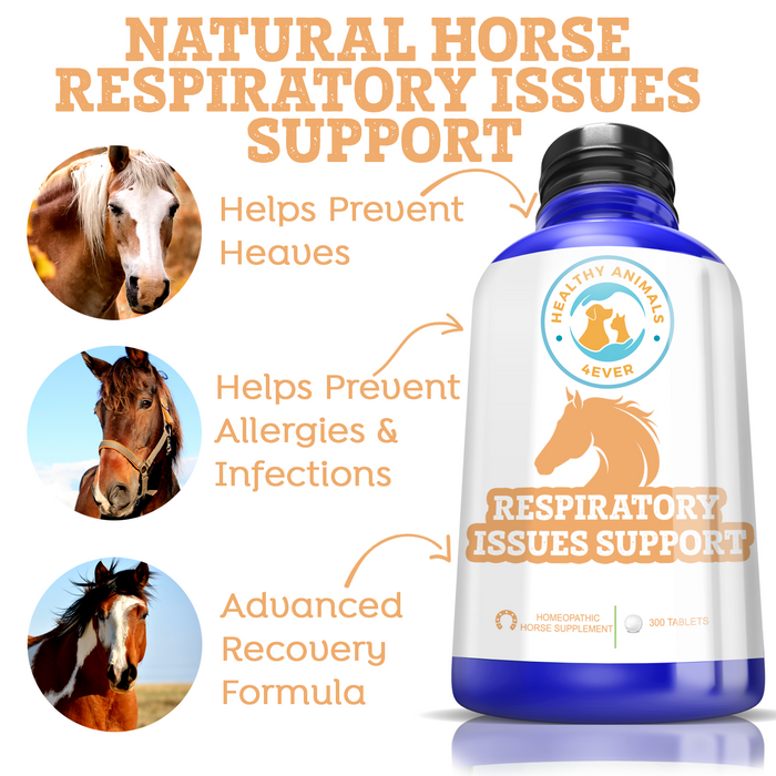 HORSE RESPIRATORY ISSUES SUPPORT Six Pack- Save 50%